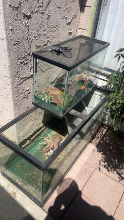 Tanks for fish or bearded dragons or geckos