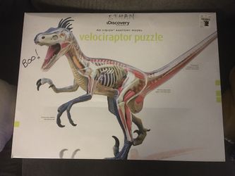 Velociraptor Puzzle / 4D Vision Anatomy Model