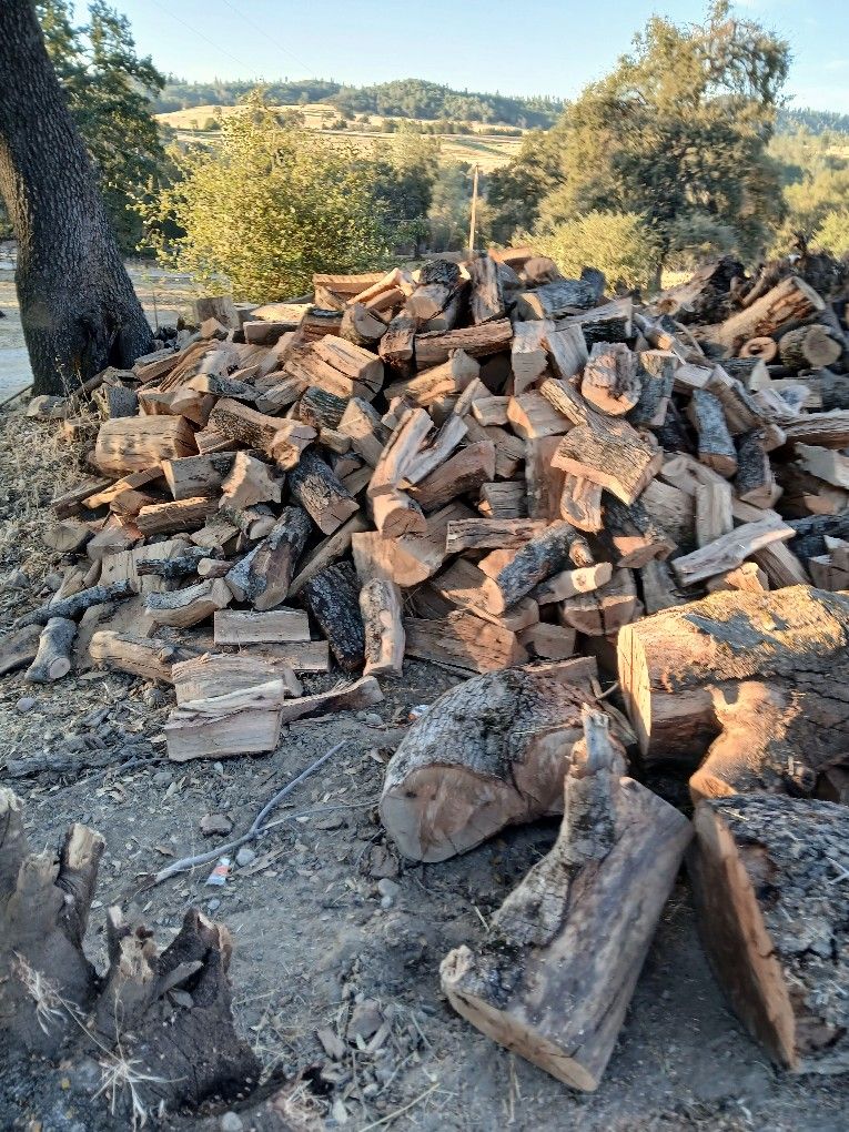 Oak Firewood
