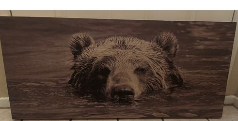 Bear picture