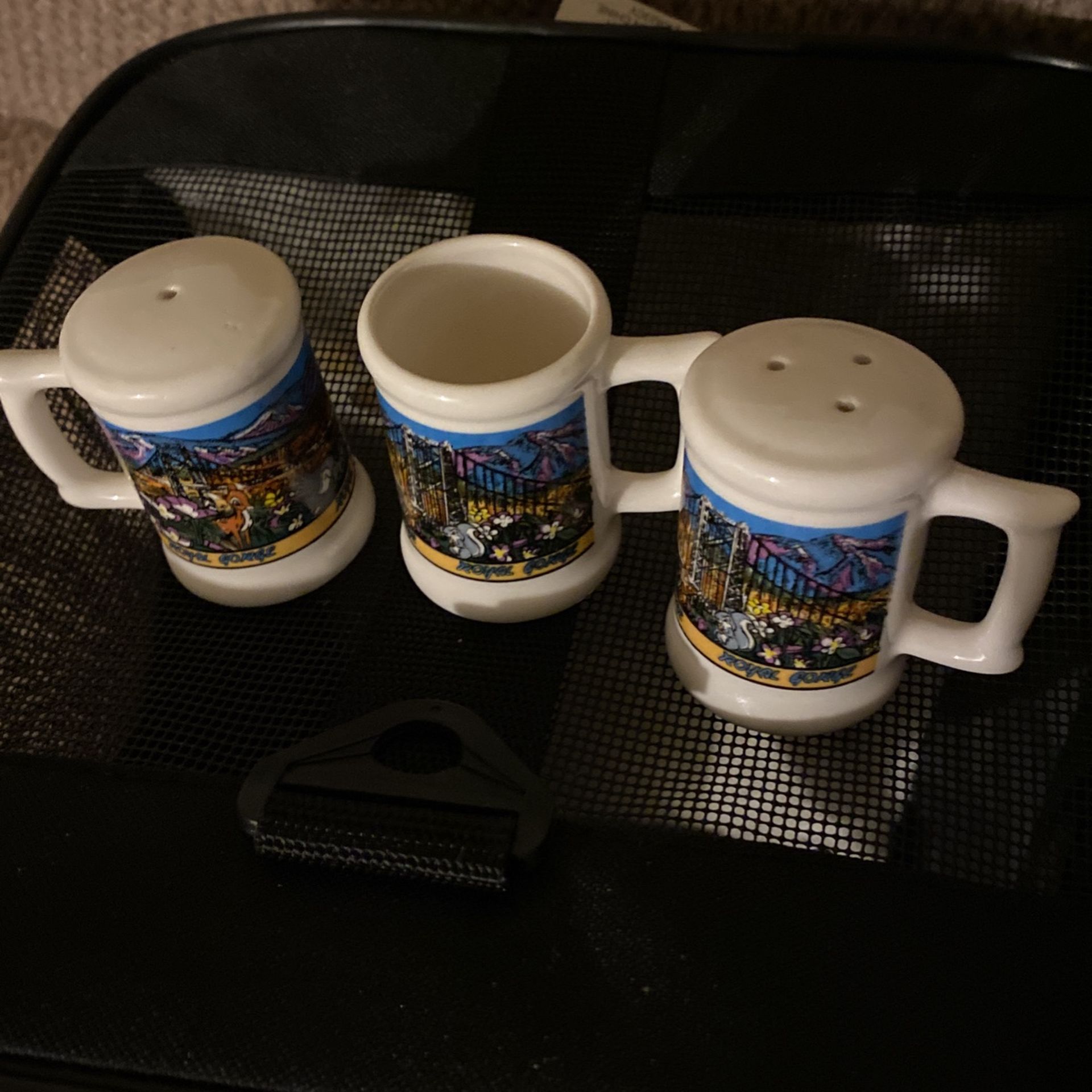 Salt & Pepper & Tooth Pick Holder From The Royal Gorge
