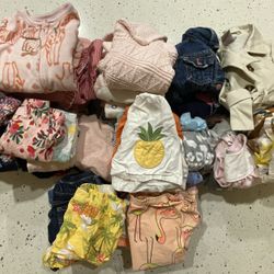 12 Month Girl Clothing Lot