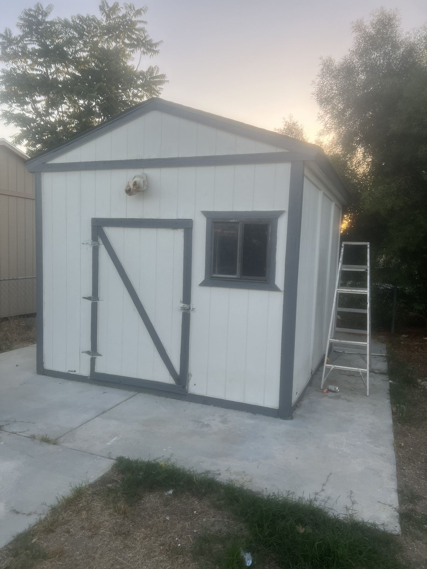Shed
