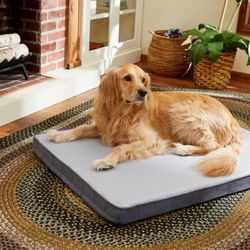 COOLING ORTHOPEDIC PILLOW DOG BED