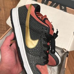 Nike Dunk Low SB “Brooklyn Projects”