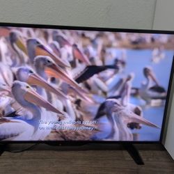 Insignia Roku TV (MUST GO) ((READ DESCRIPTION))
