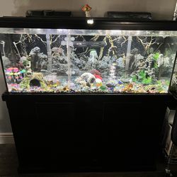 Fish Tank With Everything 