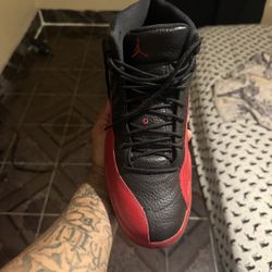 Jordan 12 