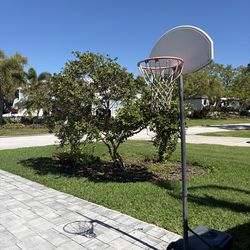 FREE BASKETBALL HOOP & ADULT BIKE