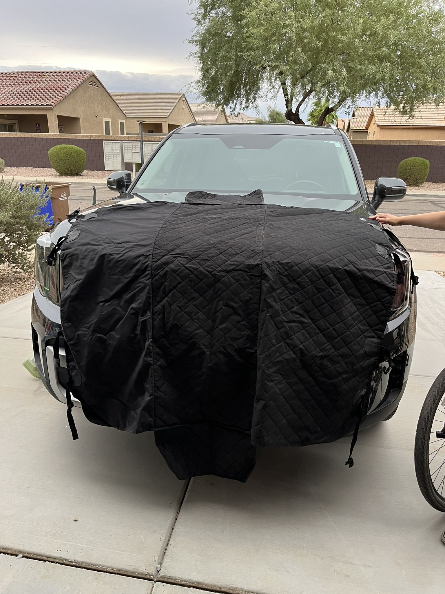 XL Dog Car Cover