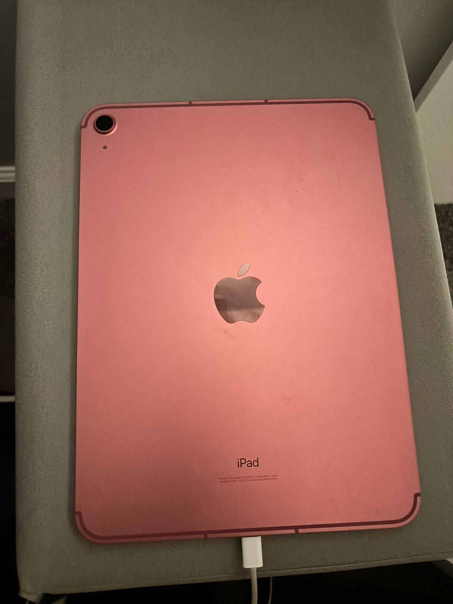Pink Ipad 10 Gen. 256GB