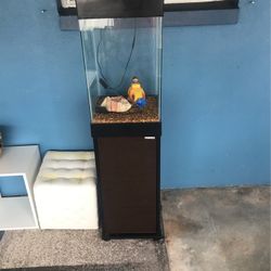 Fish Tank