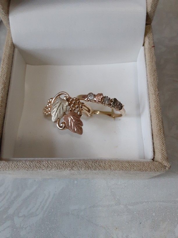 Black Hills Gold Two Rings