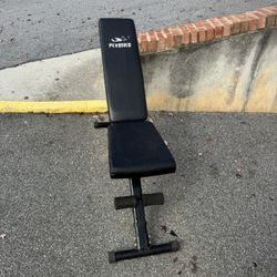 Fly Bird Weight Bench