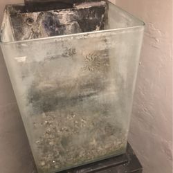 Fish Tank