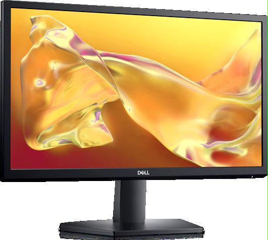 Brand NEW Dell 22 Inch Monitor In Box