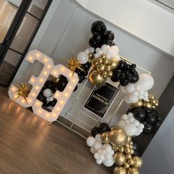 Balloon Garland Event Party Wedding