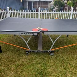 Ping Pong Table