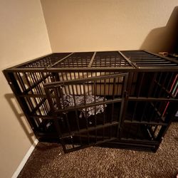 Metal Kennel