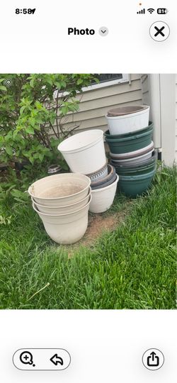 Pending pick up - Free pots