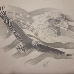 Drawing That He Did