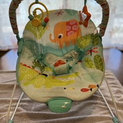 Bright Stars Baby Bouncer
