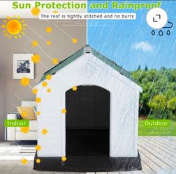 Small dog house