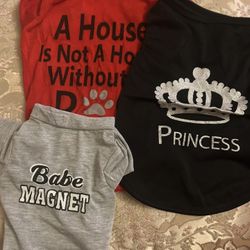Clothes For Small Pets 
