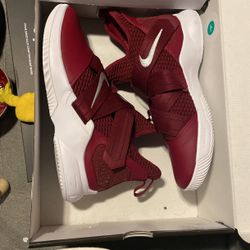 Lebron soldier xii sales tb promo