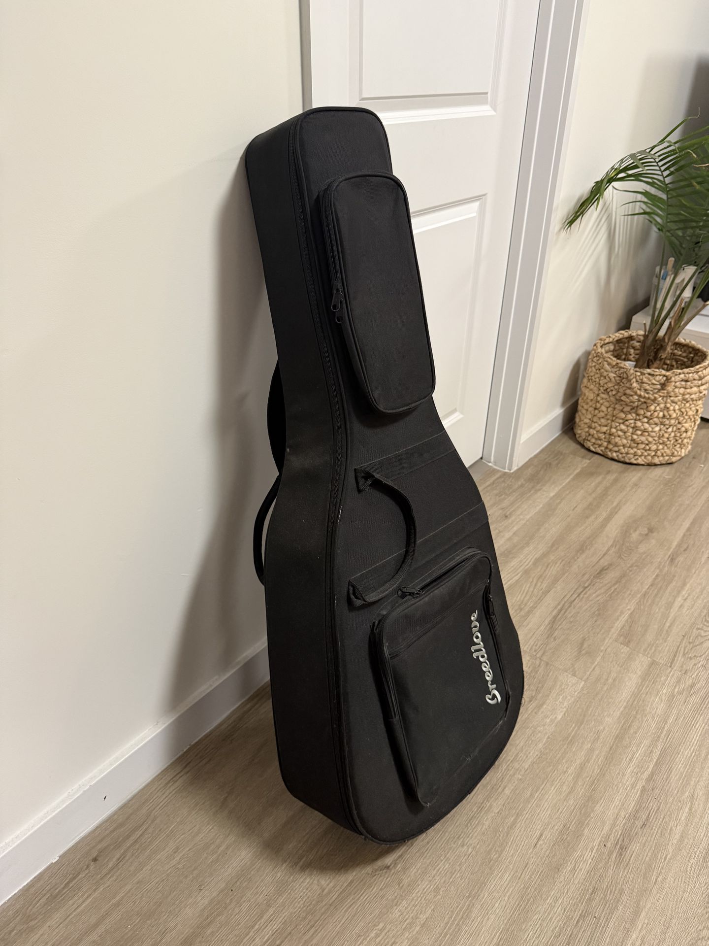 Breedlove Guitar and Amplifier