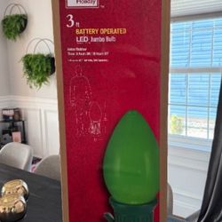 Home Accents 3 Ft. LED Jumbo Green Bulb Holiday Yard Decoration