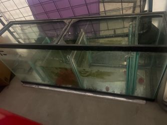 50gal sump w/ partitions