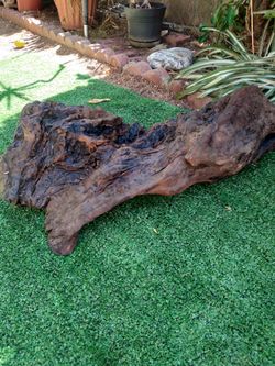Driftwood For Aquariums Terrariums Decor