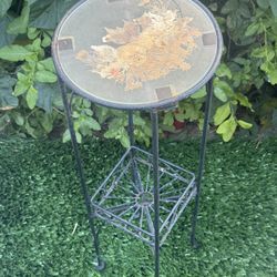 Vintage Very Rare Plant Stand With Tempered Glass Top Encapsulating Leaves/Plants