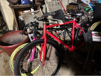 Fixie $100