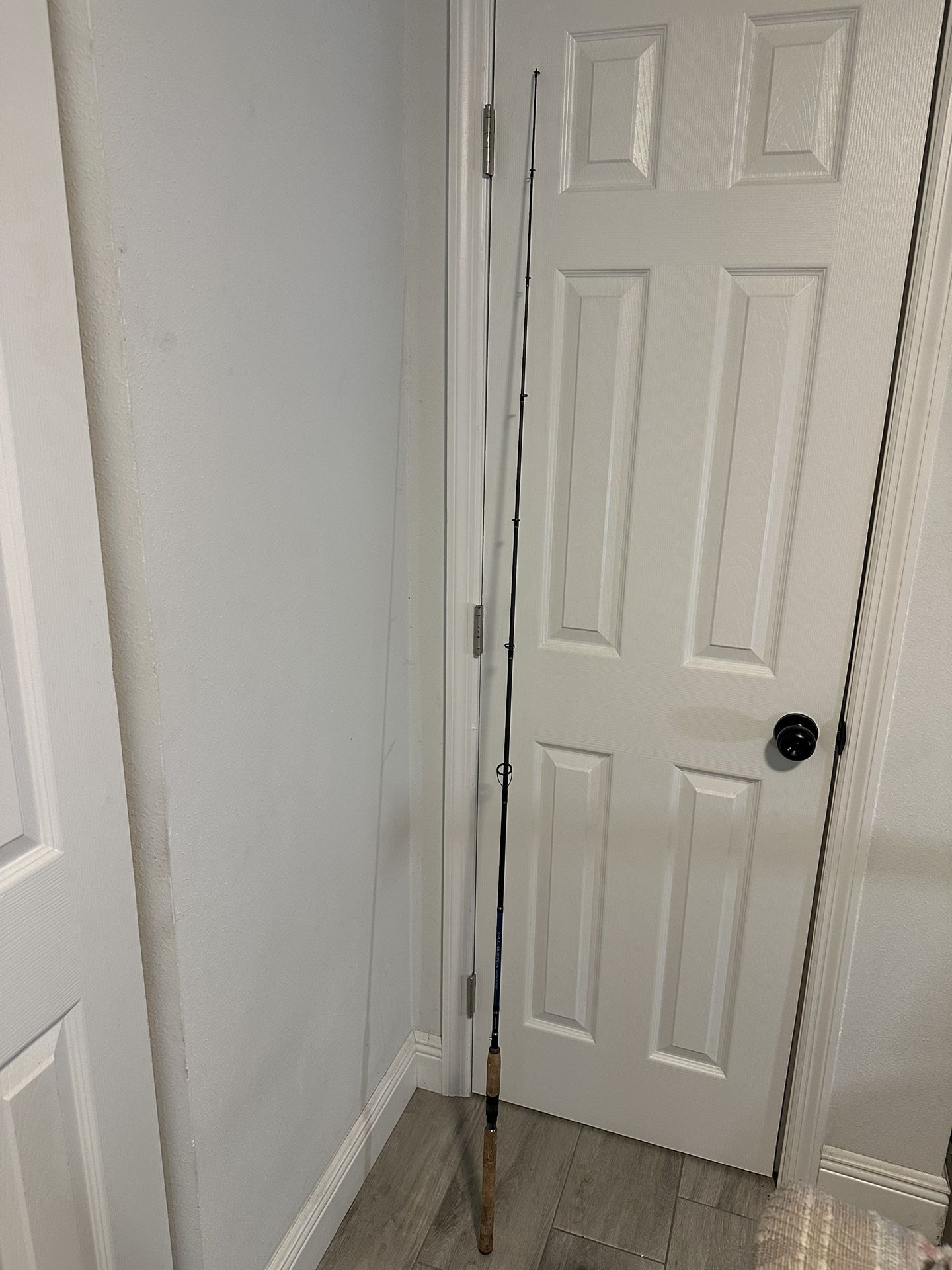 Shimano Talavera fishing rod