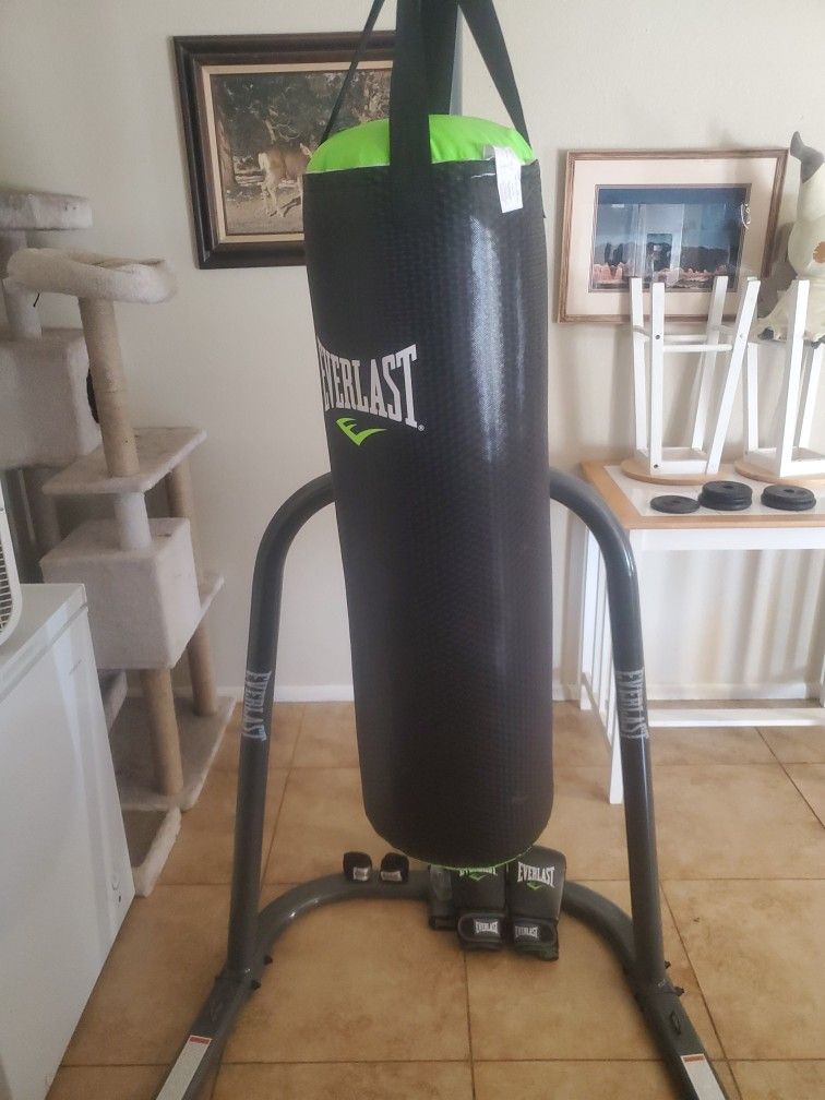 Everlast Boxing Bag And Stand
