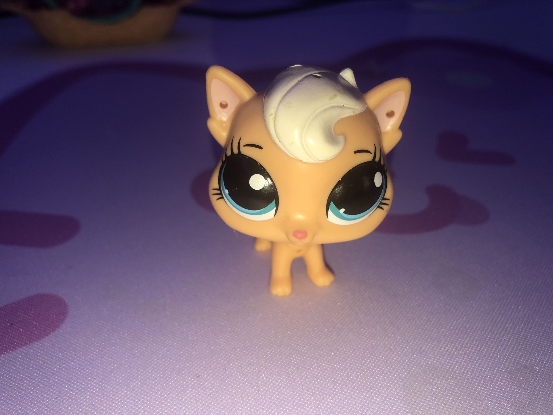 LPs kitten