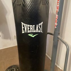 Everlast Punching Bag 