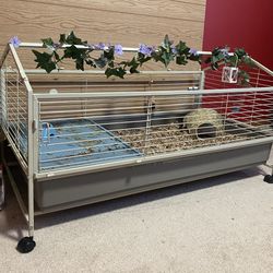 Cage For  guinea pig 🐹