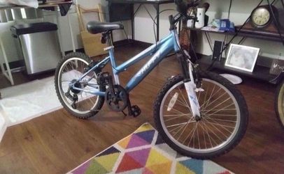 Mountain bike