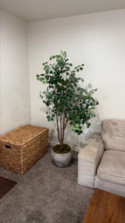 Large Artificial Eucalyptus Tree with Pot