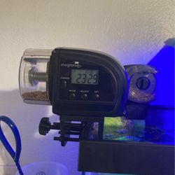Automatic Fish Feeder 