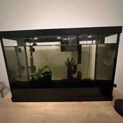 Fish Tank With Fish Included 