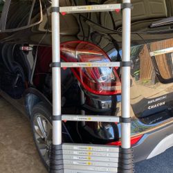 Telescope Ladder