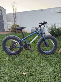Diamondback El Oso Nino Fat Tire Bike