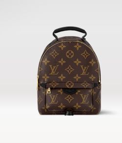 BackPack Purse 