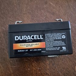 An Alarm System Battery