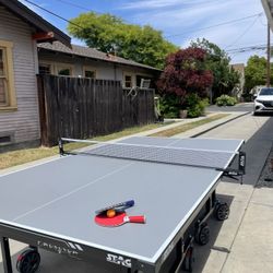 Professional ping pong Set 