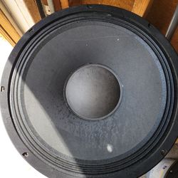 Two 18 Inch Speakers